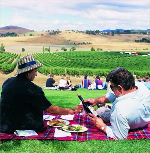 [호주/멜버른] 야라밸리 와이너리 투어    