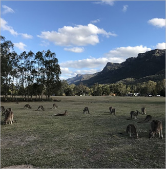 [멜버른] 그램피언즈 투어  
