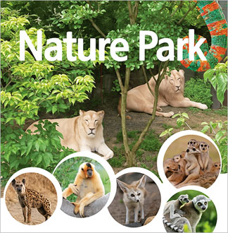 [대구] 네이처파크 입장권(~12/...