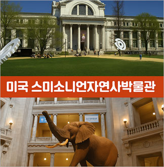 온라인 과학원정대: 집에서 즐기는 ...