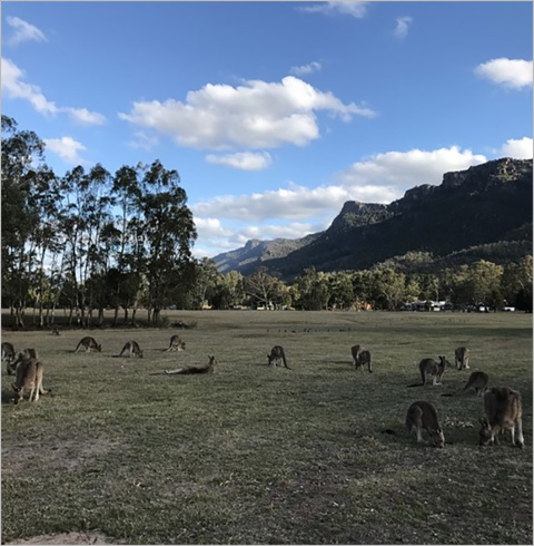 [멜버른] 그램피언즈 투어  