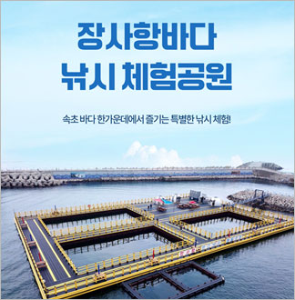 [속초] 장사항바다낚시체험공원-미끼...