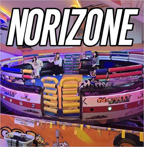 [대전] 노리존 이용권