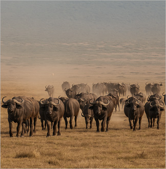 킬리만자로 마랑구루트 4박 5일 정...