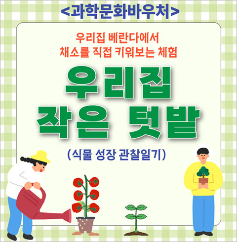 [대구] 우리집 작은 텃밭: 식물성장일기