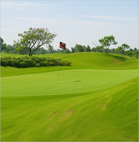 베트남 호치민 골프여행 패키지 4박5일(54홀 3색) 